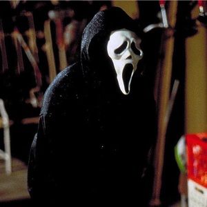 Meet your Posher, Everett